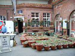 The Station Buffet